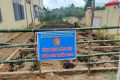 Liên đội đã phát động đến các chi đội trồng và chăm sóc “vườn cây thuốc Nam”